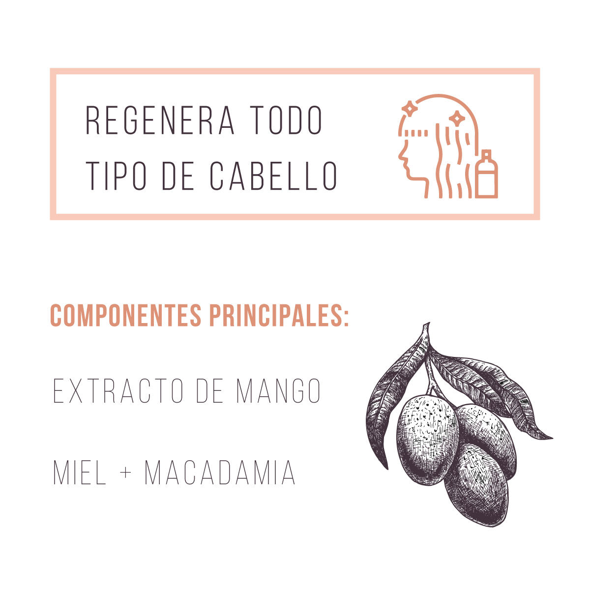 Cóctel Frutal + Crema para Peinar Reparadora - Madre Tierra Oficial