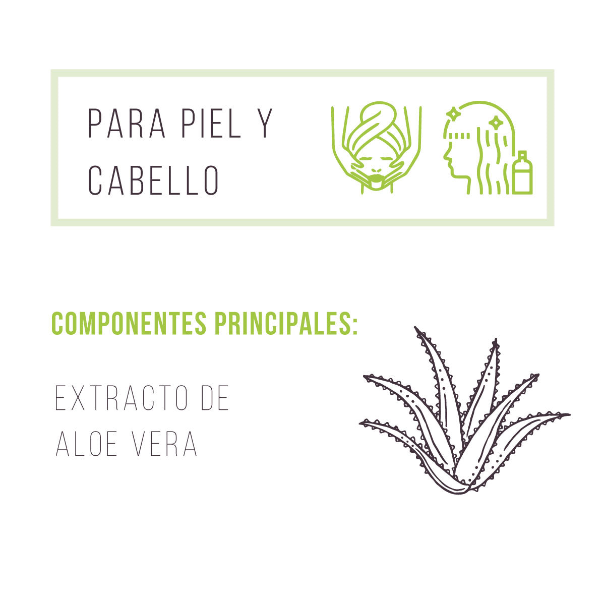 Extracto de Aloe Vera - Madre Tierra Oficial