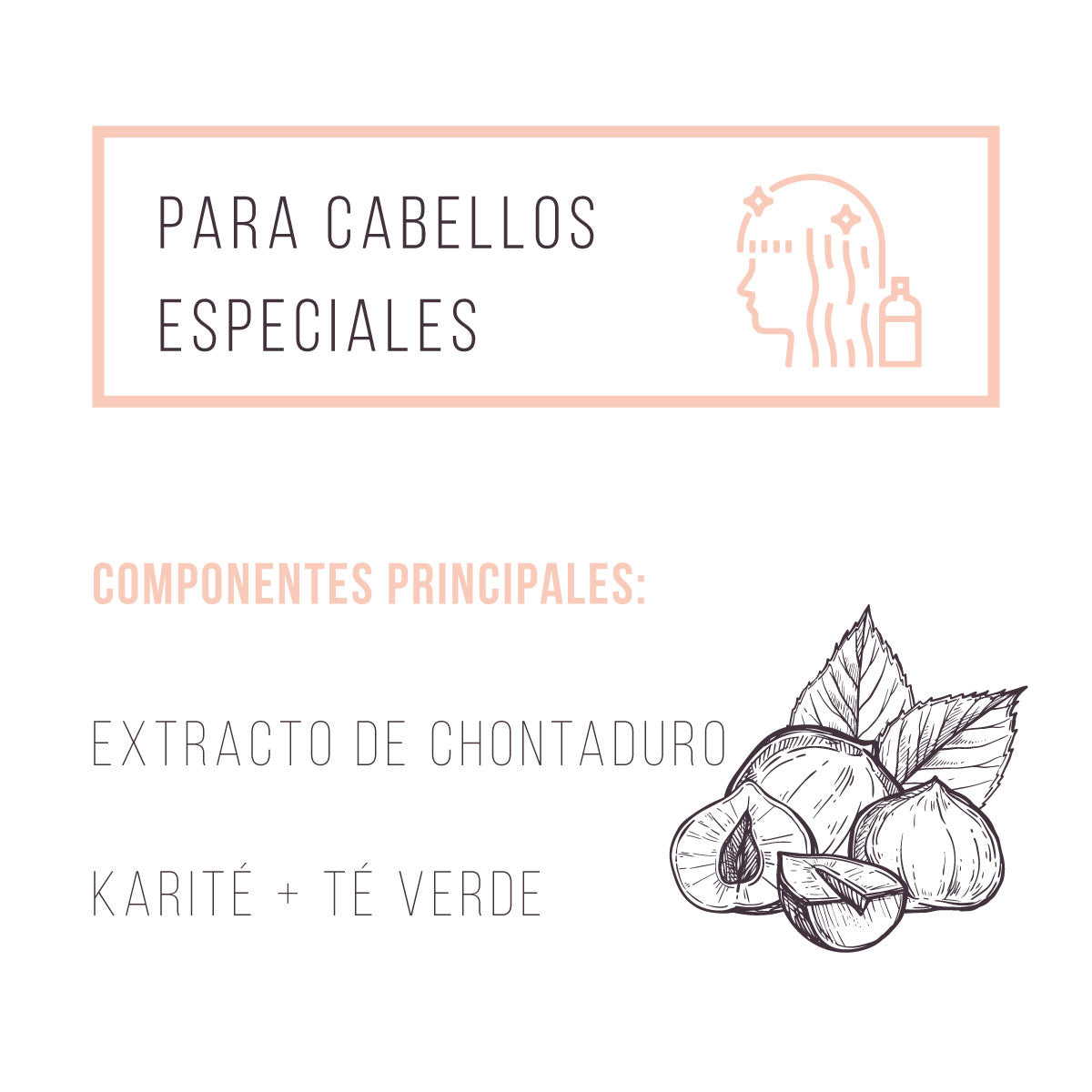 Shampoo Afro para cabellos especiales - Madre Tierra Oficial